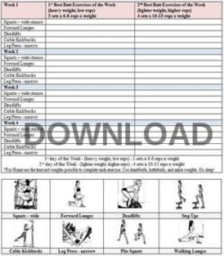 12 Week Glute Program Free PDF download gym version 1