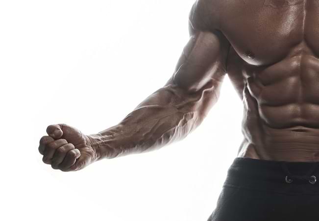 best forearm workout tools & exercisers review